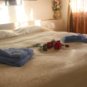 a bed with two towels and roses on it at AL CIOS lago Maggiore in Orino