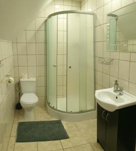 a bathroom with a shower and a toilet and a sink at Zajazd Park in Łęknica