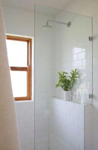 a white bathroom with a potted plant on a shelf at BoPlaas Country Cottages in Wellington