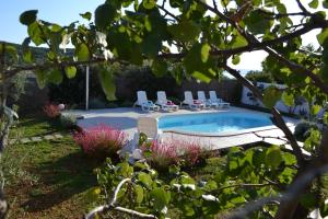 Bazén v ubytování holiday home on DUGI OTOK - OTOK nebo v jeho okolí