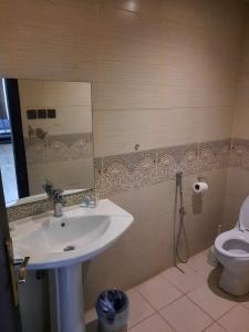 a bathroom with a sink and a toilet at شقق درر رامه للشقق المخدومة 12 in Riyadh