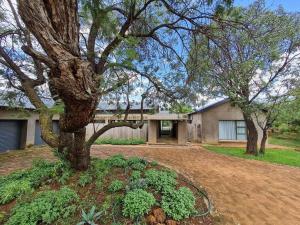 a large tree in front of a house at No 16 Elements - 5 Bedroom Beauty in Moheme