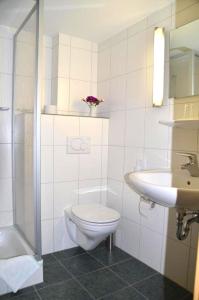 een badkamer met een toilet en een wastafel bij Hotel Die Post Meerfeld in Meerfeld