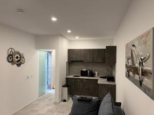 Kuchyň nebo kuchyňský kout v ubytování Stunning 3-Room Penthouse Lakeview with Terrace