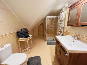 W łazience znajduje się toaleta, umywalka i prysznic. w obiekcie Dom góralski Kasinka w mieście Kazuń Bielany