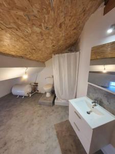 a bathroom with a sink and a toilet in a room at LOFT DU GET in Revel +12 photos