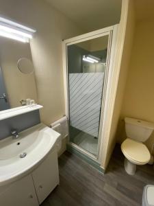 een badkamer met een douche, een wastafel en een toilet bij Logis - Hôtel et Restaurant Le Sofhotel in Forges-les-Eaux