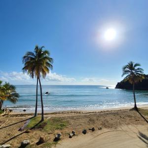 a beach with two palm trees and the ocean at Parador Palmas de Lucia in Yabucoa