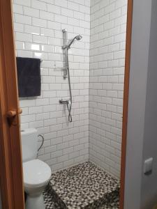 a bathroom with a toilet and a shower at Sveciu Namai Giles in Alytus