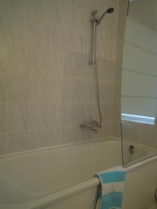 a bathroom with a bath tub with a shower at Appartement Seabird in Zandvoort