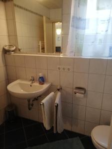 a bathroom with a sink and a toilet and a mirror at Ferienwohnung am Bodensee- Preiswert in Überlingen