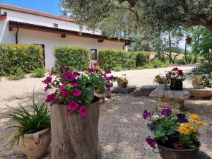 Zahrada ubytování Agriturismo Essentia dimora rurale