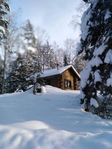 LumivaaraにあるБаза отдыха Берлогаの雪上の木々を利用したログキャビン