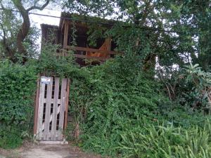 a gate to a house with ivy growing around it at Recuerdos in Atlántida