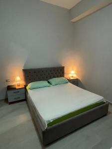 Llit o llits en una habitació de Apartament Gjergji