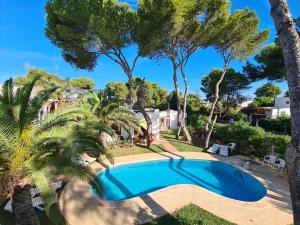 una piscina en un patio con palmeras en Apartamentos Osa Menor, en Cala d´Or