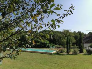 a swimming pool in the yard of a house at Maison de l Évêque d'Ozenx in Ozenx +12 photos