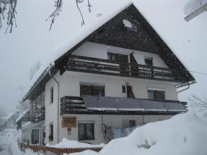 Guest House Žnidar v zimě