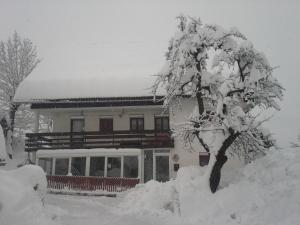 Guest House Žnidar v zimě
