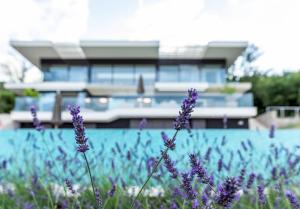 Vonkajšia záhrada v ubytovaní VILLA AURA