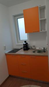 Dapur atau dapur kecil di Apartament 2 Budiu