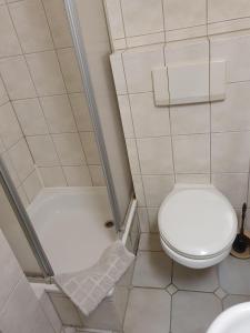 La petite salle de bains est pourvue d'une douche et de toilettes. dans l'établissement Pension Stettiner Hof, à Eggesin