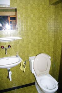 a bathroom with a toilet and a sink at Ferienhaus Brün in Valendas