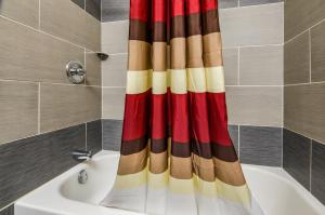 un rideau de douche dans une salle de bain avec baignoire dans l'établissement Red Roof Inn Madison Heights, VA, à Lynchburg 27 autres photos