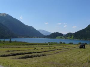 Gallery image of Landhaus Schatz in Nesselwängle