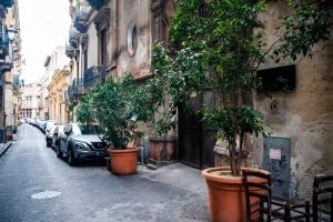una calle con macetas en el lateral de un edificio en CATARINA SUITES - CENTRO STORICO, en Catania