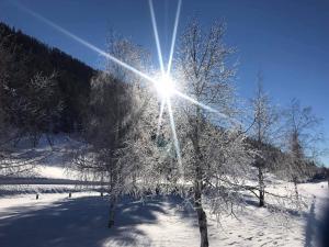 Hotel Krone talvel