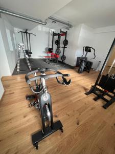 Fitnes oz. oprema za telovadbo v nastanitvi Bergglück - gemütliches Appartement am Traunsee
