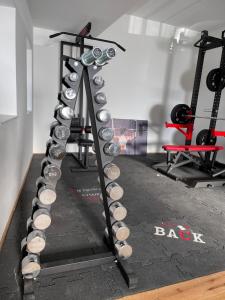 Fitness centrum a/nebo fitness zařízení v ubytování Bergglück - gemütliches Appartement am Traunsee