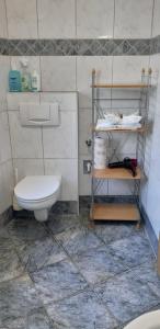 a bathroom with a toilet and shelves in it at Ferienwohnung Mühlburger in Lienz +24 photos