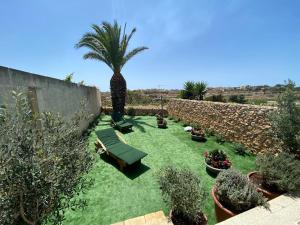 a garden with a palm tree and a green lawn at Sunset Farmhouse in Għarb