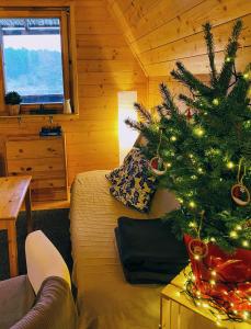 - un salon avec un arbre de Noël et un canapé dans l'établissement Lawendowy Brzeg, à Jaryszewo