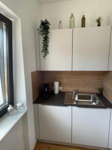 Kuchyň nebo kuchyňský kout v ubytování Bergglück - gemütliches Appartement am Traunsee