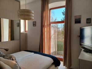 Televízia a/alebo spoločenská miestnosť v ubytovaní Apartment Antiope