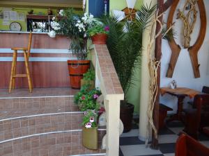 Fotografie z fotogalerie ubytování Guest House Rosa v destinaci Kiten