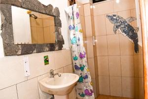 La salle de bains est pourvue d'un lavabo et d'une douche avec un miroir. dans l'établissement Galapagos Dove, à Puerto Ayora