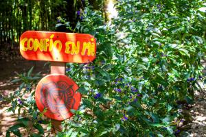 Zahrada ubytování Hotel Holístico Monteverde