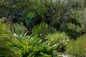 Zahrada ubytování Hotel Holístico Monteverde