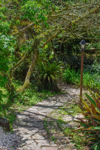 Zahrada ubytování Hotel Holístico Monteverde