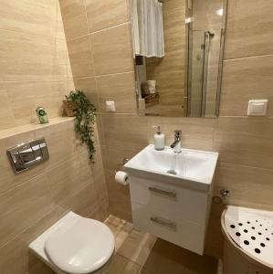 Łazienka w obiekcie Apartament Aga