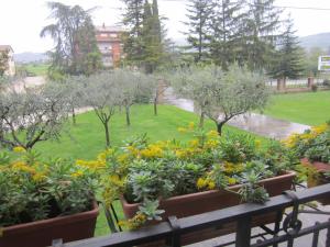 Zahrada ubytování La Strada Di Francesco D'Assisi