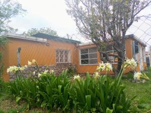 Κήπος έξω από το Hosteria Nuevo Sol