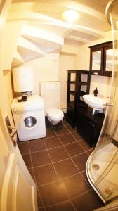 La salle de bains est pourvue de toilettes et d'un lavabo. dans l'établissement Holiday home Villa Vanya, à Mali Ston