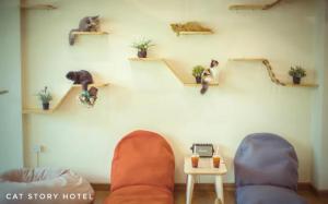 Posezení v ubytování Cat Story Hotel