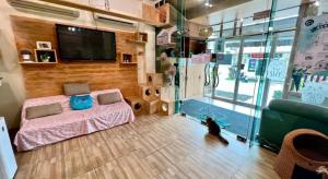 TV a/nebo společenská místnost v ubytování Cat Story Hotel