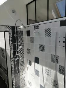a bathroom with a shower with black and white tiles at "Le Rooftop de la fontaine" dans cadre verdoyant in Luisant